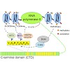 eick__2013_chemrev_500.100x0.jpg